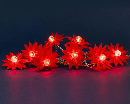 Guirlande lumineuse avec poinsettias rouges à 10 LED rouges et câble argent sur piles - 1,80 m