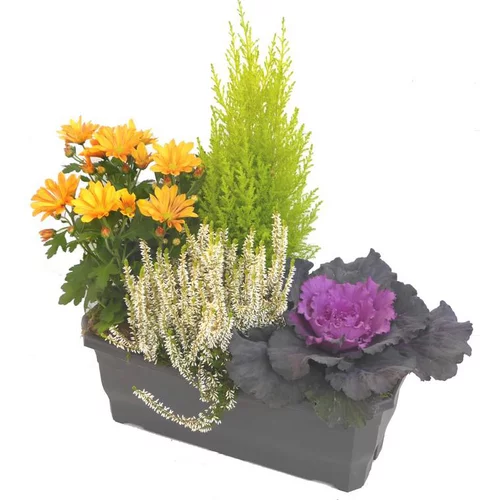 Jardinière d'automne orange - La jardinière de 40 cm