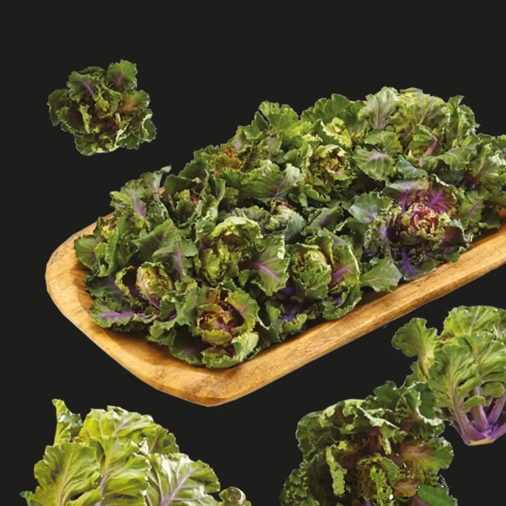 Kalettes, Flowersprout Brassica oleracea