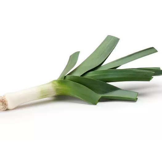 Bio zaden van Prei Gros vert de Huy