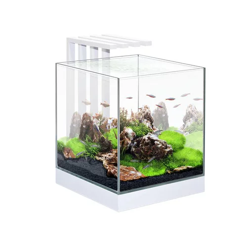 Aquarium équipé Nexus 25 LED blanc - 22L