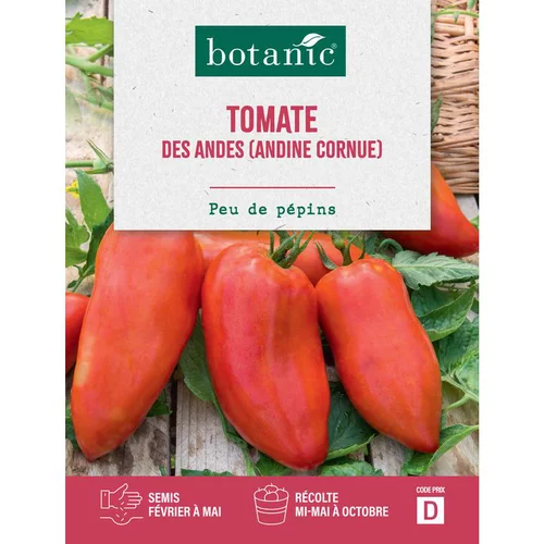 Graines de tomate des andes andine cornue botanic® - graines à semer
