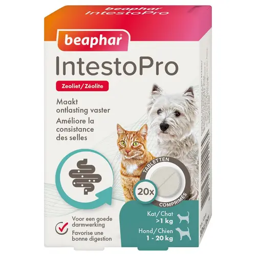 Aliment complémentaire consistance des selles pour chat et petit chien Beaphar IntestoPro - x 20 comprimés