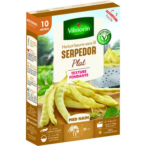 Graines de haricot nain serpedor Vilmorin - graines à semer