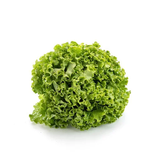 Salade batavia bio de France - Prix à la pièce