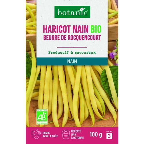 Graines d'haricot nain beurre de rocquencourt bio botanic® - graines à semer 100 g