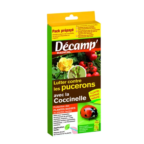 Coccinnelles Septempunctata Décamp’ - La boite