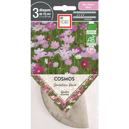 Graines présemées de Cosmos Sensation varié bio Ernest Turc - 3 ronds de 10 cm