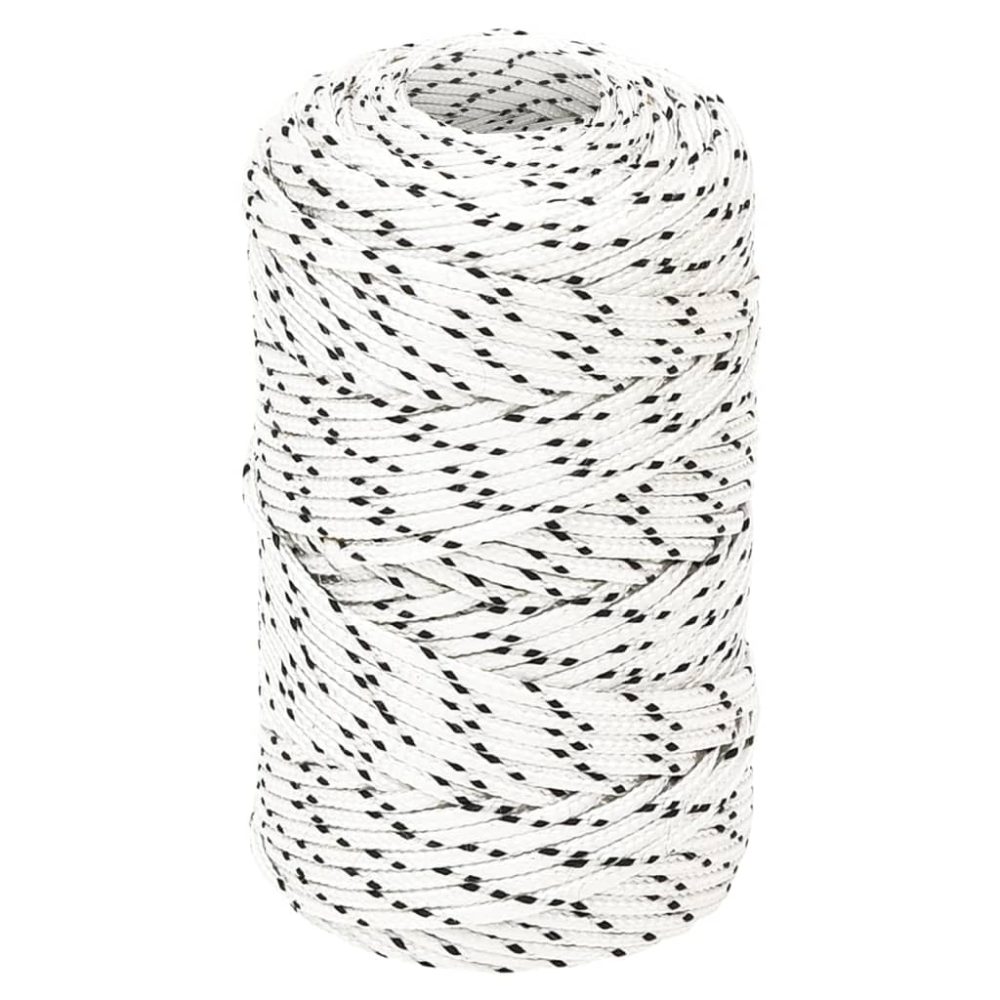 vidaXL Corde de bateau tressé Blanc 2 mmx250 m Polyester – Équipement de loisirs