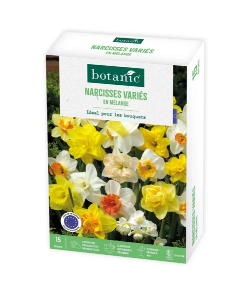 Narcisse en mélange botanic® - 15 bulbes