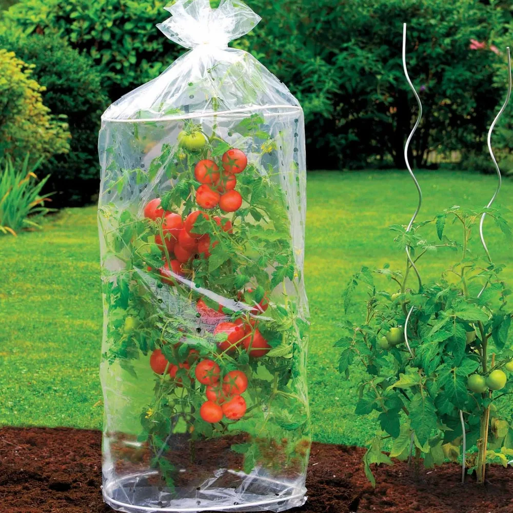 2 Housses pour tomates