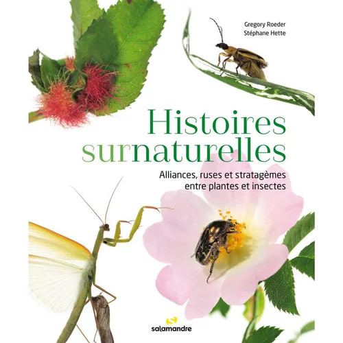 Le livre " Histoires surnaturelles " aux Éditions Salamandre
