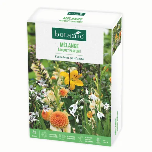 Boite de bulbes de fleurs en mélange bouquet parfumé botanic® – 32 bulbes