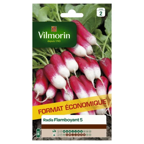 Radis flamboyant 5 Vilmorin - graines à semer