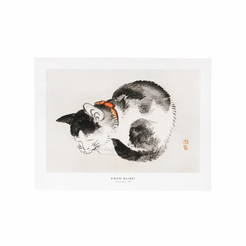 Affiche chat endormi - 30 x 40 cm