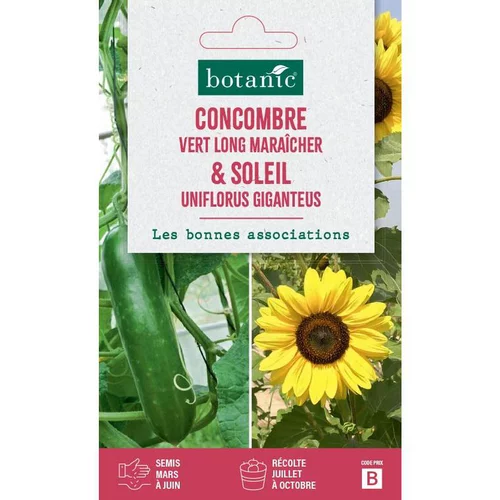 Duo de graines concombre vert long maraîcher et graines de tournesol (soleil uniflorus gigan) botanic® - graines à semer