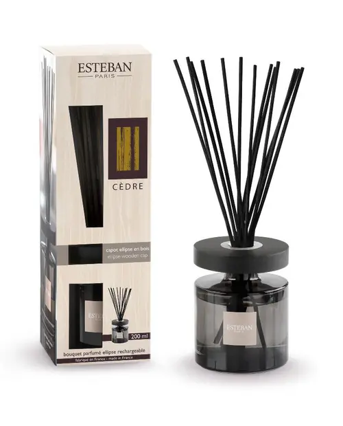 Bouquet parfumé et recharge Esteban Ellipse beige parfum Cèdre - 200 ml