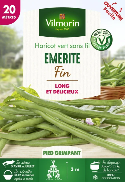 Graines de Haricot vert sans fil Emerite fin Vilmorin - graines à semer