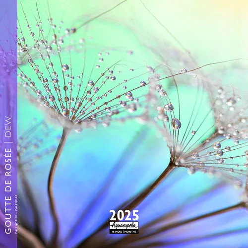 Calendrier 2025 goutte de rosée coloris multicolore Aquarupella - 16,5 x 16,5 cm