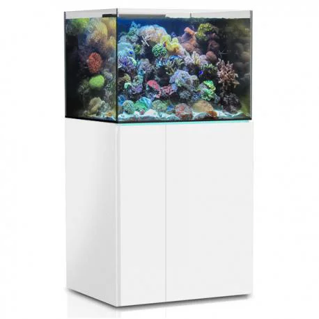 Aquarium de 245 litres avec son meuble et sa cuve de filtration d'un volume de 55 litres