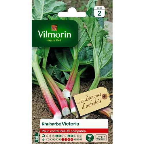 Graines de rhubarbe Victoria Vilmorin - graines à semer