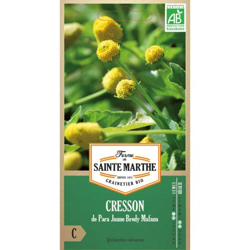Graines de Cresson de Para jaune Bredy Mafana bio Ferme de Sainte Marthe - graines à semer
