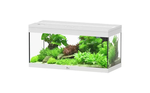 Aquarium Prestige 80 coloris blanc Auxine - 85 L