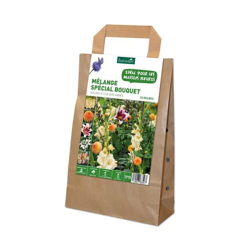 Mélange de bulbes spécial bouquet botanic® - 32 bulbes