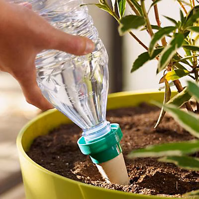 Arrosage automatique – Cône d'arrosage Aquasolo taille M coloris vert débit 20cl/24h 3 + 1 gratuit
