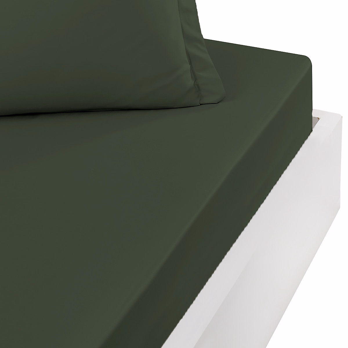 Drap housse bonnet 40 cm en percale coton PLUSEucalyptus 80 × 200 cm SOFT PERCALE