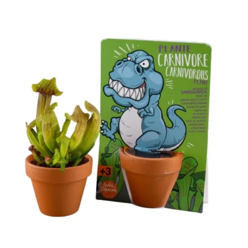 Kit de plantation graines de plante carnivore carte nature T-Rex Radis et Capucine