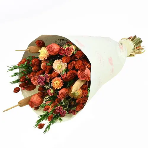 Bouquet de fleurs séchées Naturalys Prestige rouge - Ø 25/30 x H 50 cm