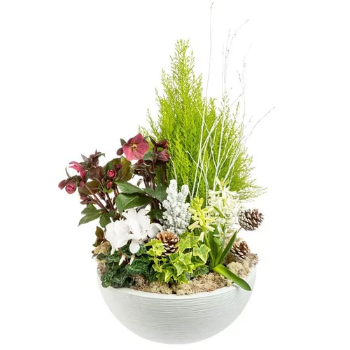 Composition de Noël coupe graphique multicolore. La coupe blanche de 40 cm