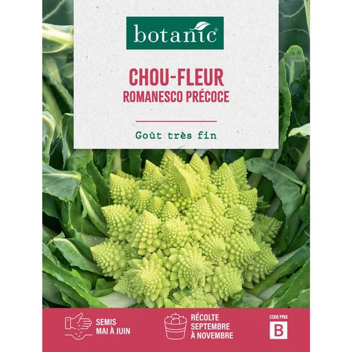 Graines de chou-fleur romanesco précoce botanic® - graines à semer
