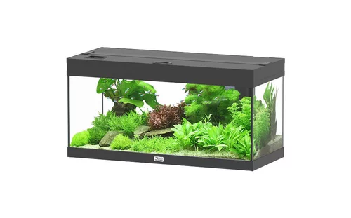 Aquarium Prestige 80 coloris noir - 85 L