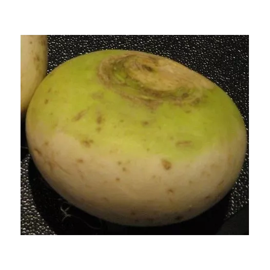 Bio zaden van Raap Boulette de Champagne