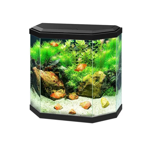 Aquarium équipé Aqua 30 noir - 25L