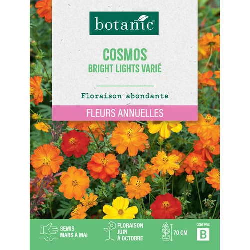 Graines de cosmos sulphureus flashe orange botanic® - graines à semer