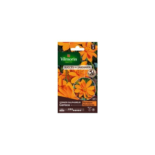 Graines de Cosmos Sulfureux Carioca orange Vilmorin graines d’exception - graines à semer