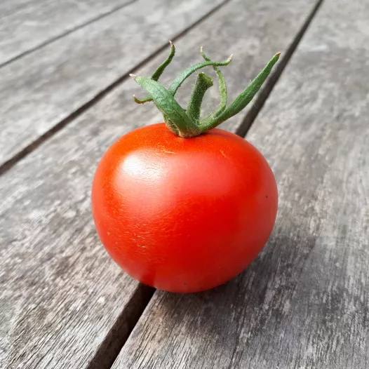 Tomate cerise ronde Jaune *
