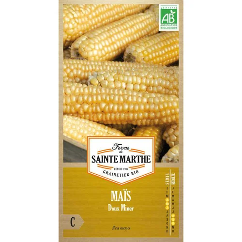 Graines de Maïs doux bio Ferme de Sainte Marthe - 50 graines à semer
