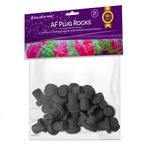 Bouturage noir sur rock plug, AQUAFOREST, lot de 24 pièces