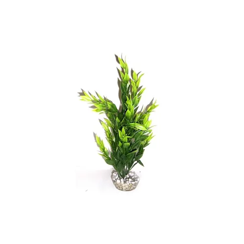 Cycared vert en plastique 28 cm