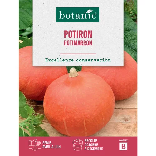 Graines de potiron potimarron botanic® - graines à semer